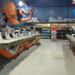 tienda Frys